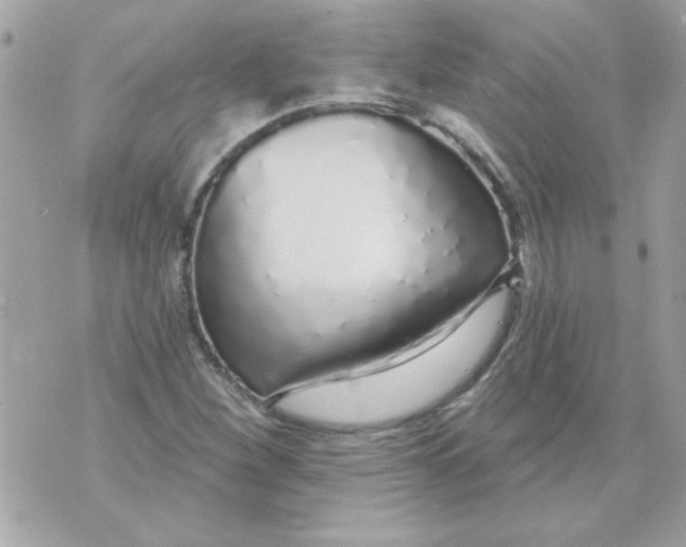 X0000070881260200607071939