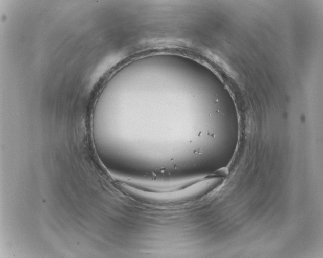 X0000070881261200607071939