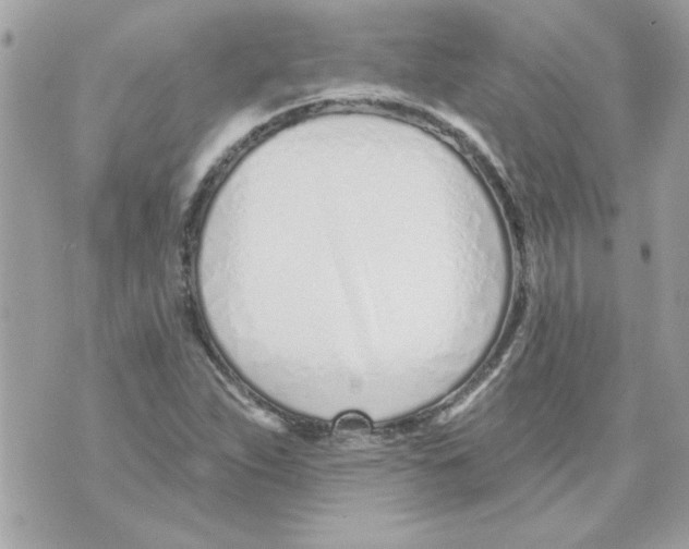 X0000070881263200607071939