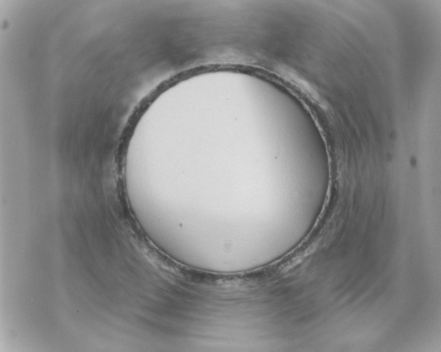 X0000070881264200607071939