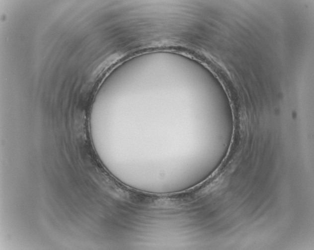 X0000070881265200607071939