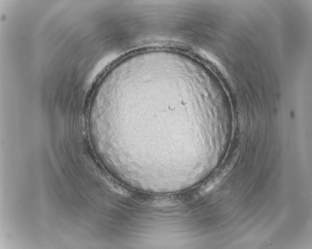 X0000070881267200607071939