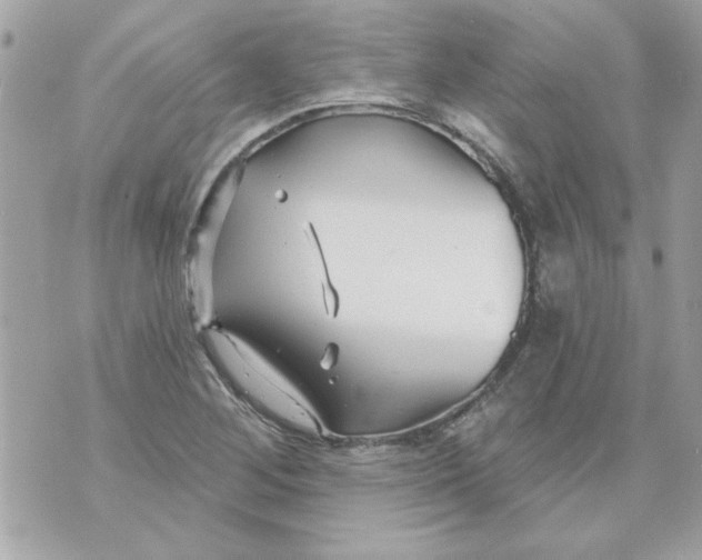 X0000070881268200607071939