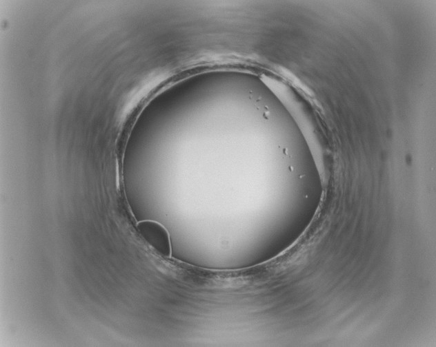 X0000070881269200607071939