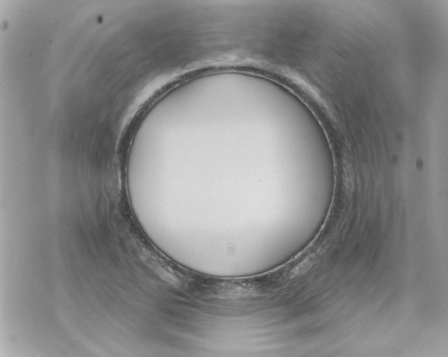 X0000070881270200607071939