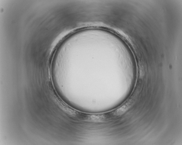 X0000070881271200607071939