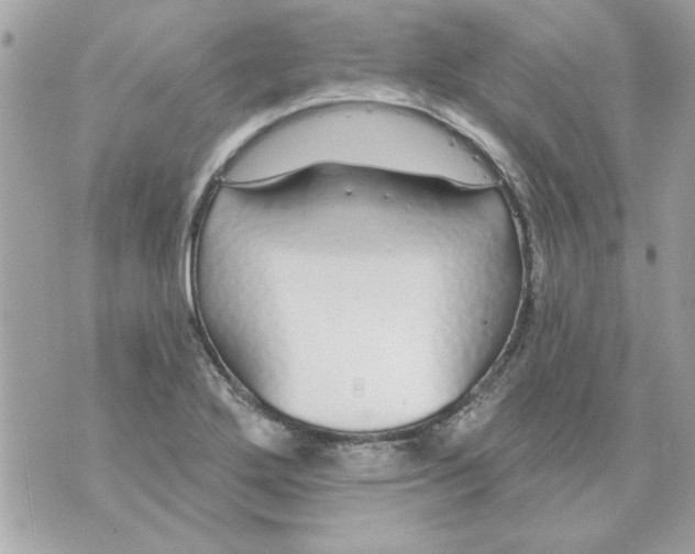 X0000070881272200607071939