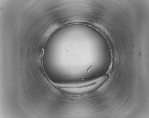 X0000070881273200607071939