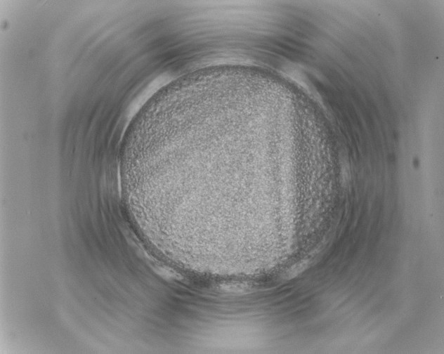 X0000070881274200607071939