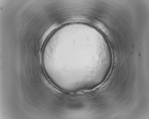 X0000070881275200607071939