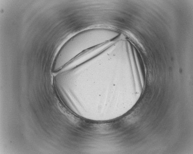 X0000070881276200607071939