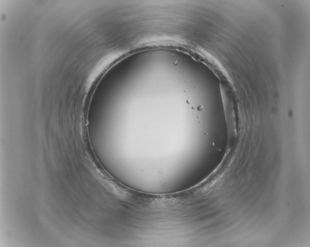 X0000070881277200607071939