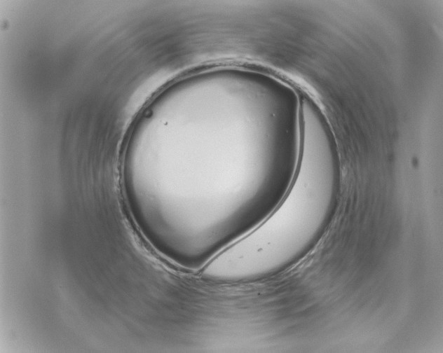 X0000070881279200607071939