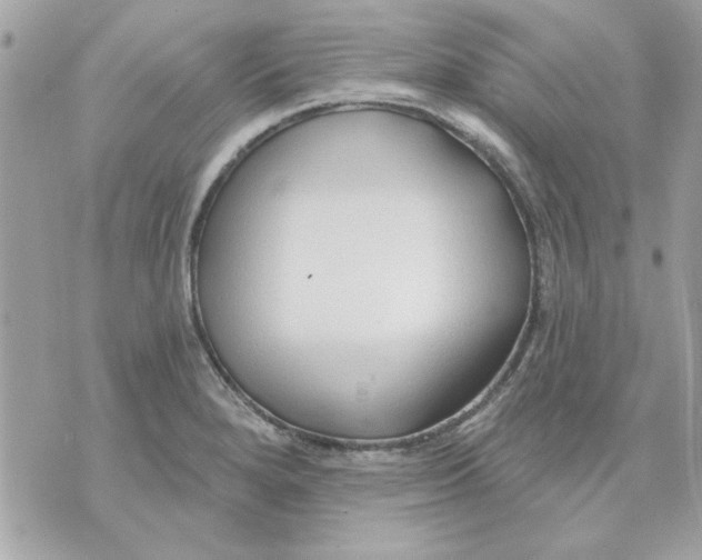 X0000070881280200607071939