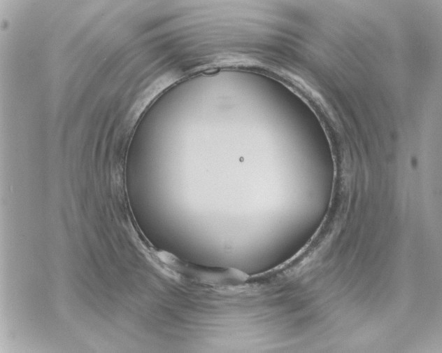 X0000070881281200607071938