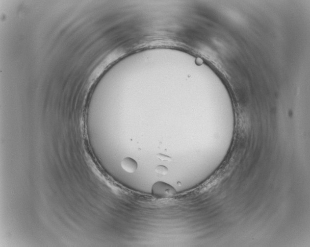 X0000070881282200607071938