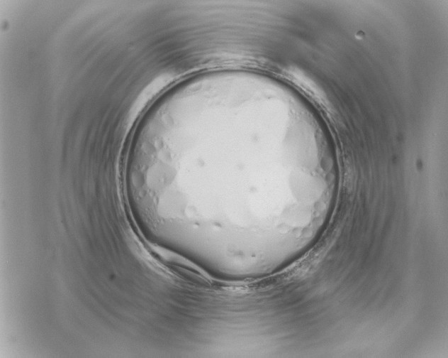 X0000070881283200607071938