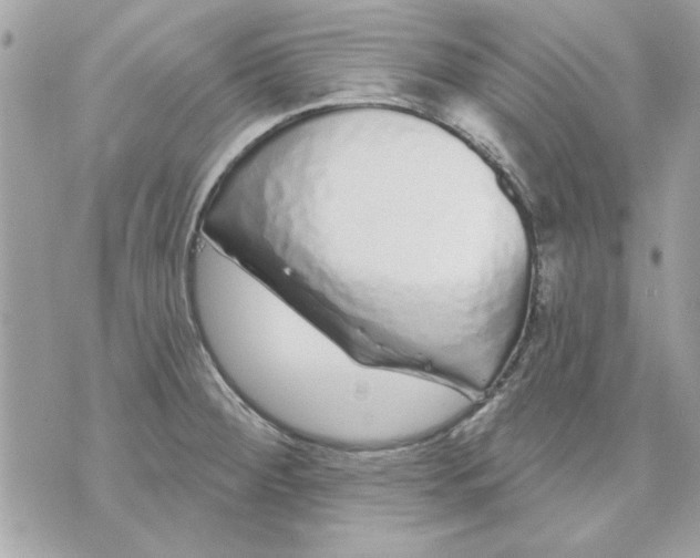 X0000070881284200607071938