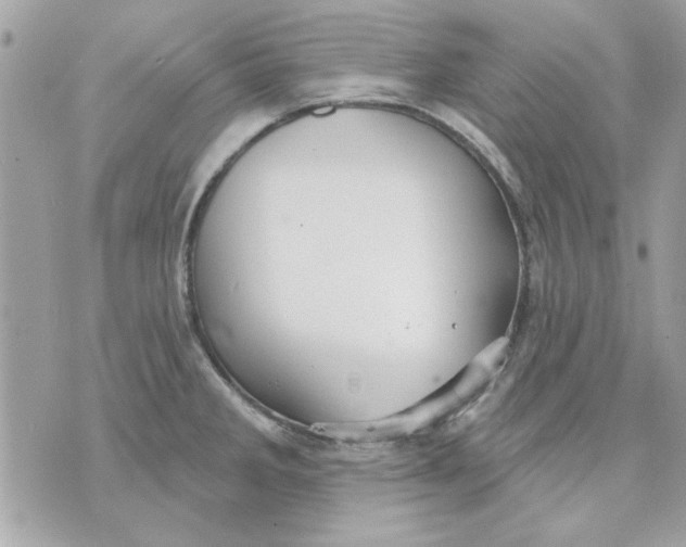 X0000070881285200607071938