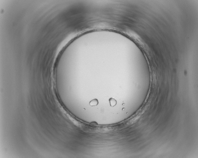 X0000070881286200607071938