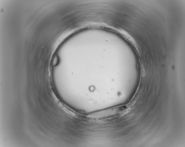 X0000070881287200607071938