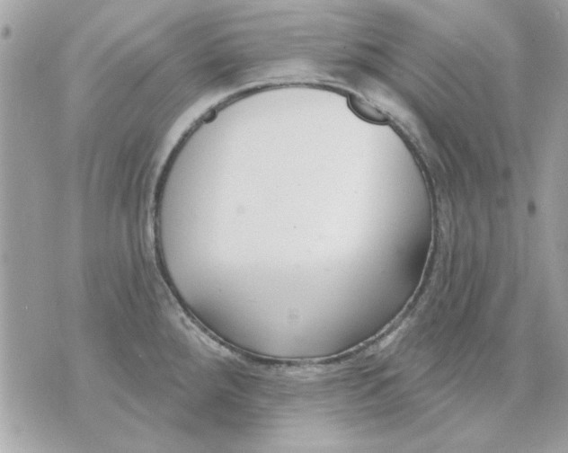 X0000070881288200607071938