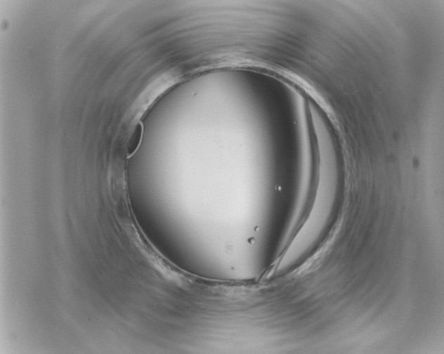 X0000070881289200607071938