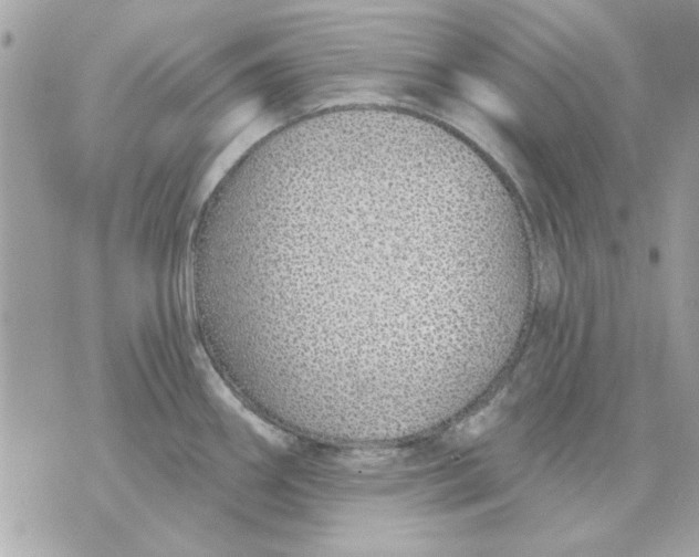 X0000070881290200607071938