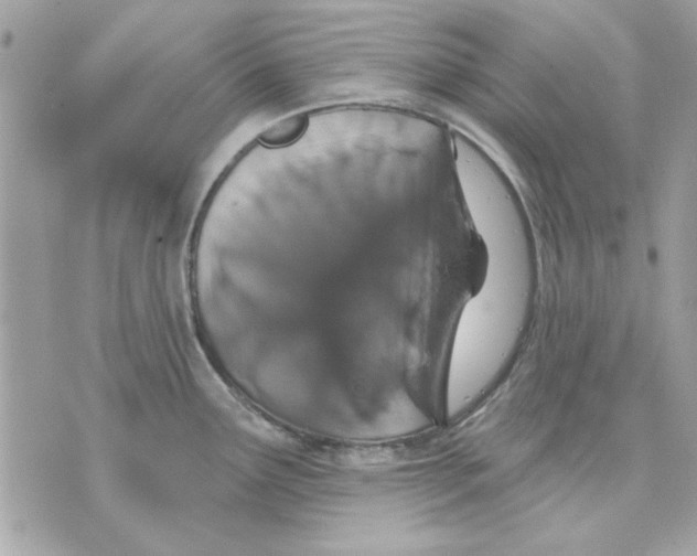 X0000070881291200607071938