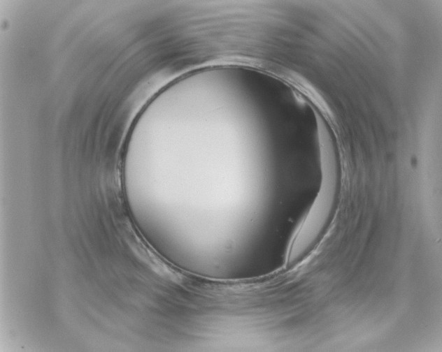 X0000070881292200607071938