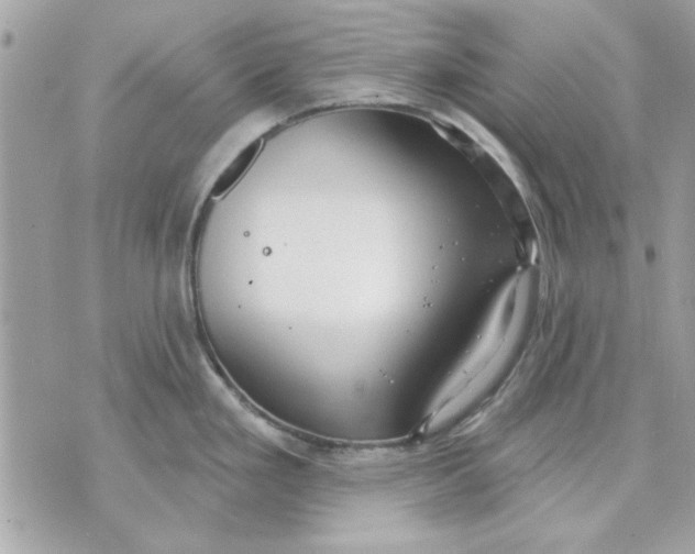 X0000070881293200607071938