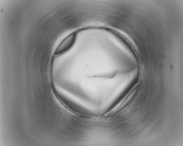 X0000070881295200607071938