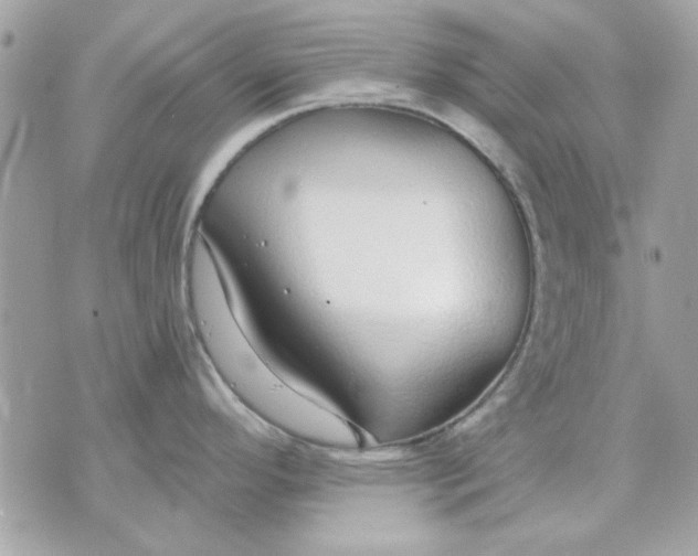 X0000070881296200607071938