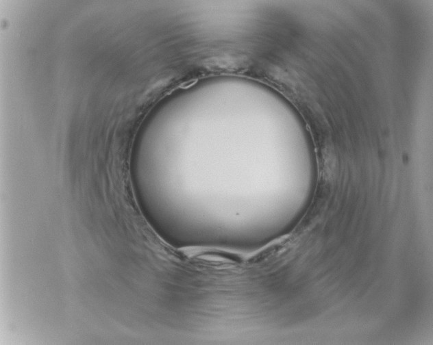 X0000070881297200607071937