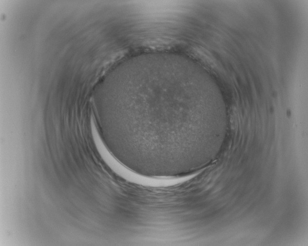 X0000070881298200607071937