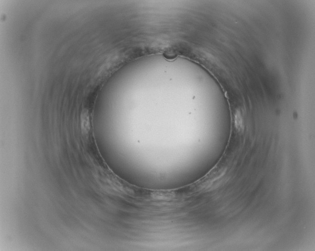 X0000070881299200607071938