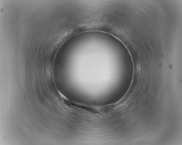 X0000070881300200607071938