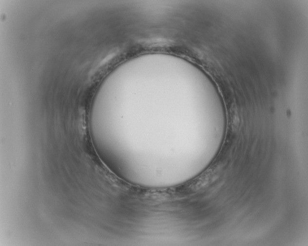 X0000070881301200607071938