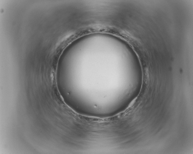 X0000070881302200607071938