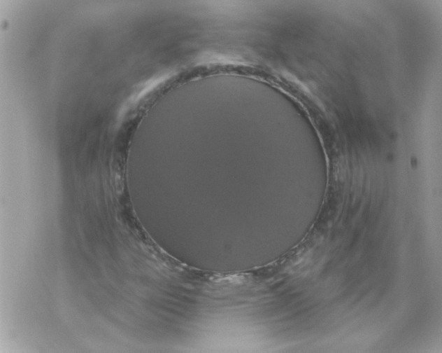 X0000070881303200607071938