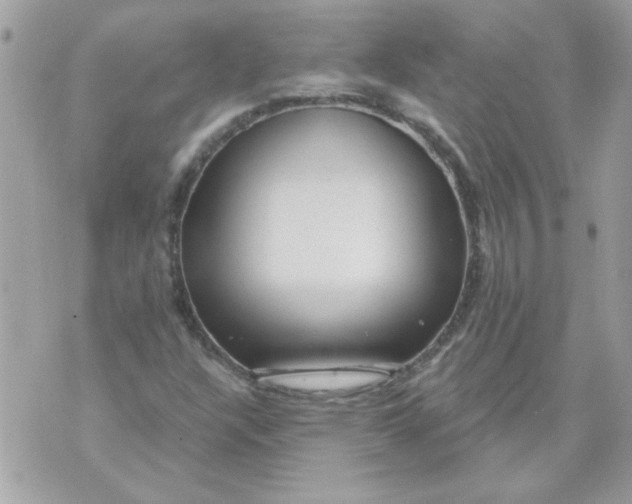 X0000070881304200607071938