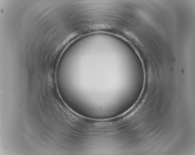 X0000070881305200607071938