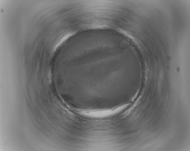 X0000070881306200607071938