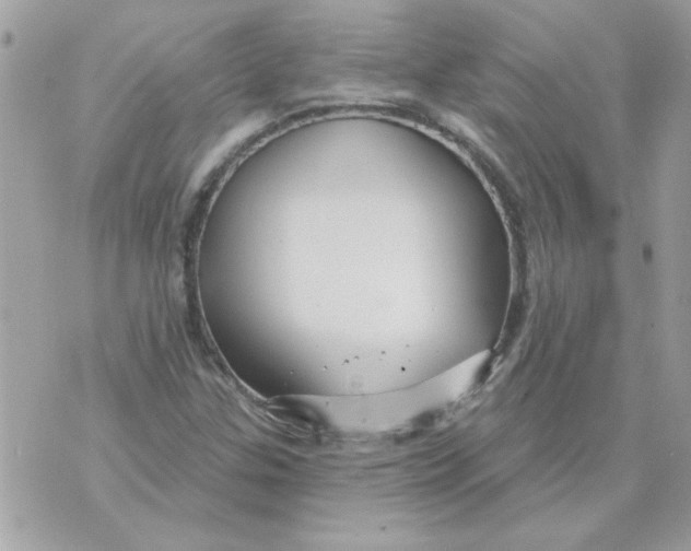 X0000070881307200607071938