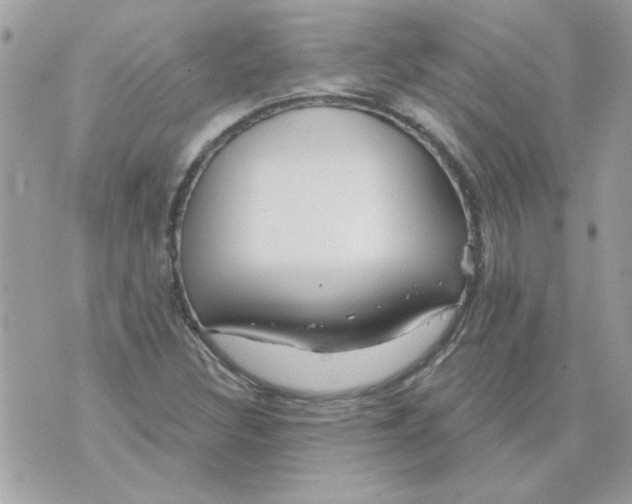 X0000070881308200607071938