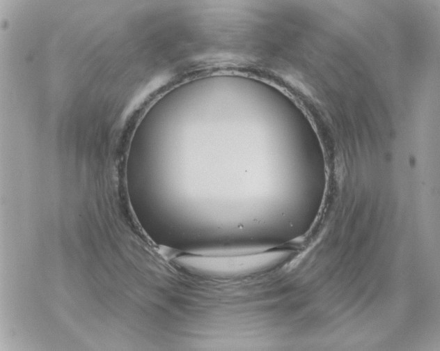 X0000070881309200607071938