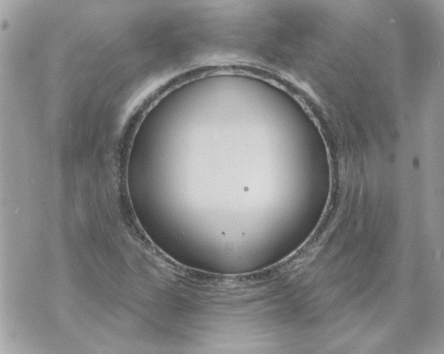 X0000070881311200607071938