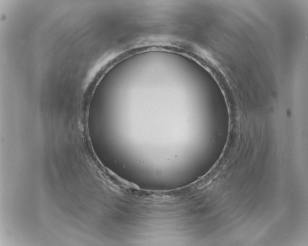 X0000070881312200607071938