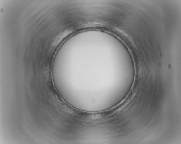 X0000070881313200607071938