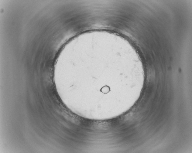 X0000070881314200607071938